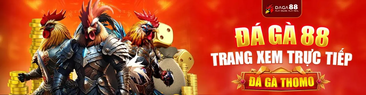 Sân đấu đá gà kịch tính tại 123win login