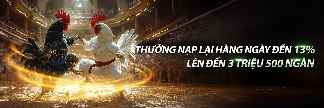Sân vận động tràn ngập người hâm mộ, không khí cá cược thể thao sôi động tại 123win login