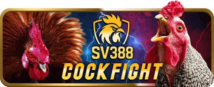 Ưu đãi chào mừng thành viên mới 123win login